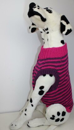 Chunky Stripe Dog Coat