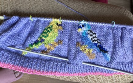 Budgie Bird Hat #4