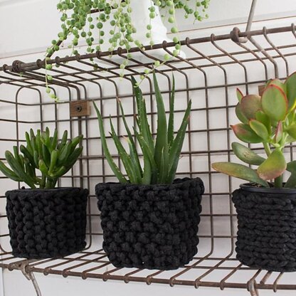 Project : 3 Plant Cozies