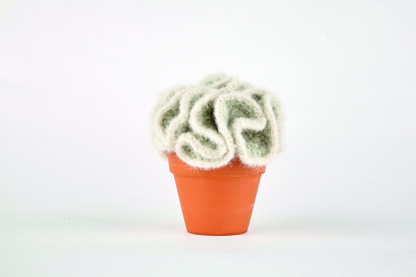 Crocheted Cactuses by Sarah Abbondio