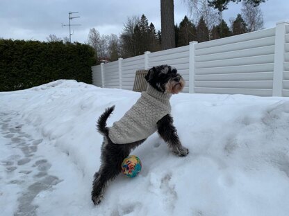 Inka dog sweater