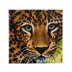 Crystal Art Leopard, 30x30cm Diamond Painting Kit