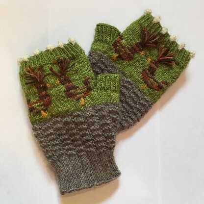 Funky Polish Chicken Mitts