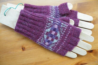 Heylor Gloves