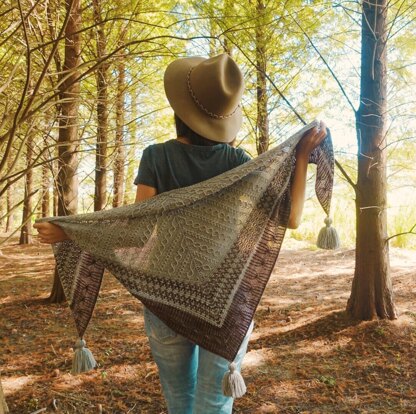 Braid Shawl