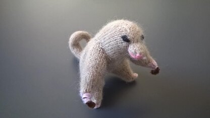 Silky anteater