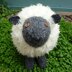 Shuggie Sheep