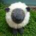 Shuggie Sheep