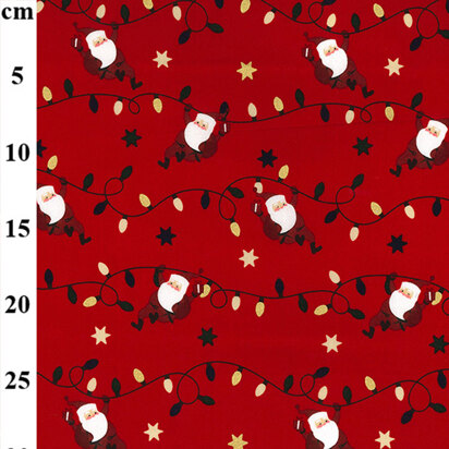 Rose & Hubble Christmas 2022 - Santa and Lights - P372RED