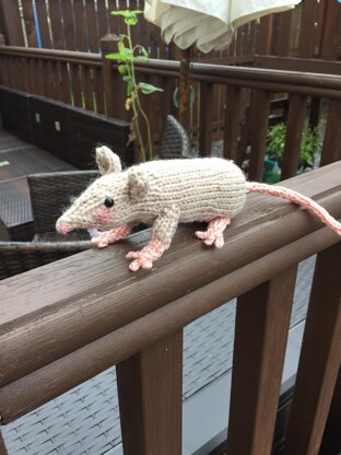 Raymond the Rat