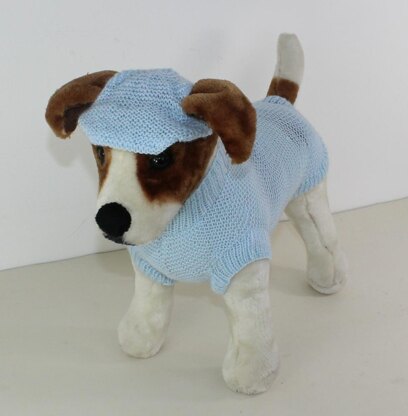 Small Dog 4 Ply Coat & Peak Cap