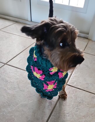 Boho Turtleneck Pet Bandana