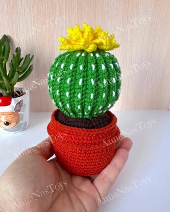 Cactus in a pot_5