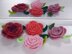 Rosalinda Hair ties/Hairclip