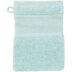Rico Mint Wash Mitt - Green