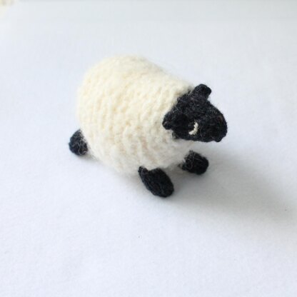 Fair Isle Sheep