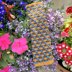 Oxford Textured Tweed Bookmark Knitting Pattern - Free Knitting Pattern