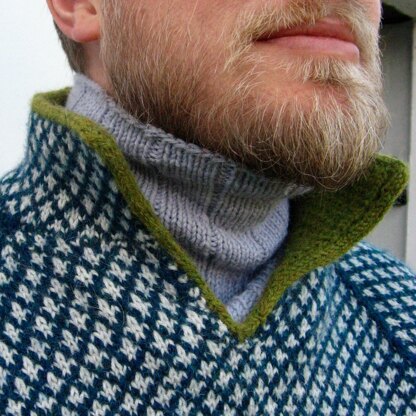 Willafjord collared henley