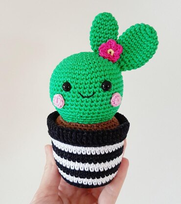 Cactus Friends