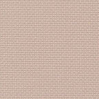 Nougat (3021)