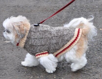 Sock store dog sweater