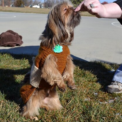 Dog Bone Sweater