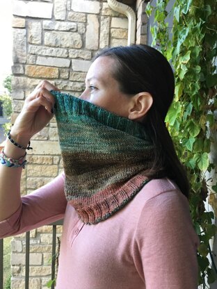 Land & Sky Cowl