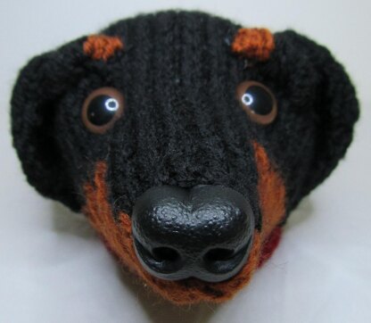 Dachshund Dog Chocolate Orange Treats Cover