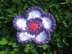 100 Flowers to Knit and Crochet