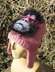 Madmonkeyknitter Trapper Hat