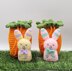 Bunny in Carrot Bag