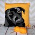 Labrador Pet Portrait Cushion Cover