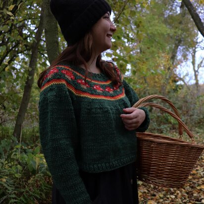 The Toadstool Sweater Adult