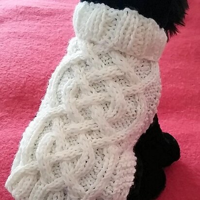 Celtic Braid Dog Sweater - knitting pattern