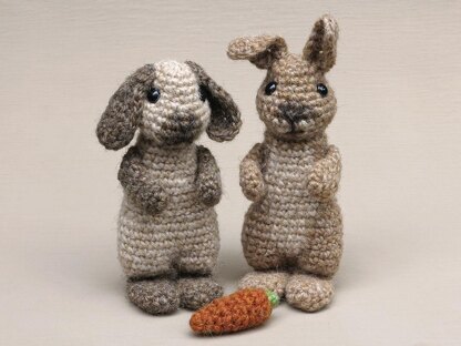 Poochey & Fudge the rabbits