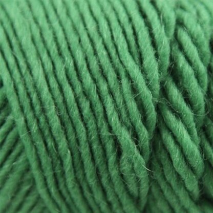 Brown Sheep Lamb's Pride Worsted Yarn - M169 - Woodland Green at Jimmy  Beans Wool