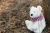 Peppermint the Polar Bear