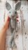 Sabina Bunny