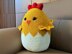 Chicken Egg Pillow
