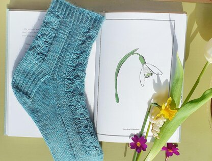 Galanthus Socks