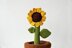 Sunflower in Pot Amigurumi Crochet Pattern