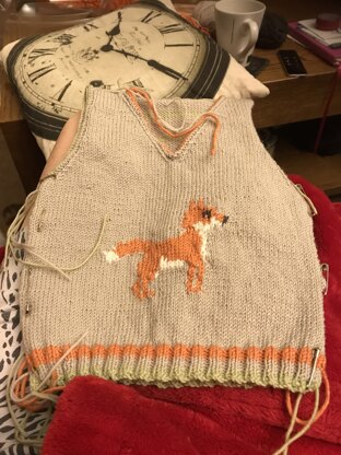 Baby boy ' Mr Fox Tank '