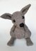 Australian Kangaroo Joey