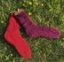 Rose Moon Socks