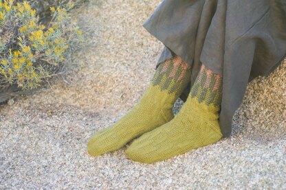 Cereus Socks