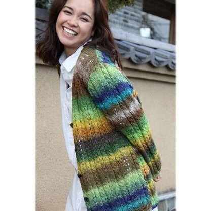 Noro Cardigan (Hanami 3) PDF