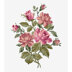 Pink Roses Bouquet in DMC - PAT0678 -  Downloadable PDF