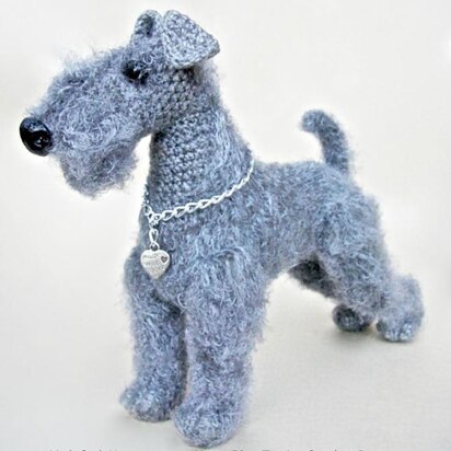 103 Kerry Blue Terrier dog