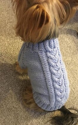 Sky Blue Dog Sweater