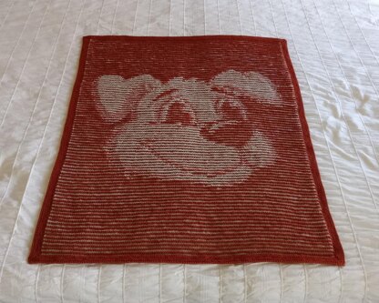 Canis Minor Illusion Baby Blanket